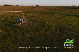 Fazenda com 1496 ha em Cachoeira do Sul localidade Irapu�.00_01_38_45.Quadro030_0d1f41e40aa11214f38c8513b8d6154bd5fedb7f.jpg